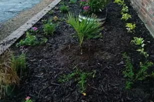 2340 North Chandler Dr E, Fort Worth, TX 76111 - Photo 24