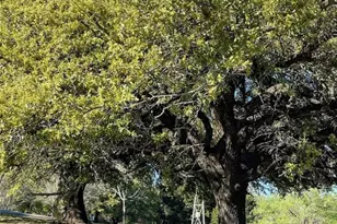 208 W 7th Street W, Weatherford, TX 76086 - Photo 16