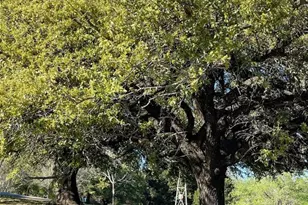 208 W 7th Street W, Weatherford, TX 76086 - Photo 16