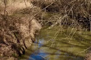 1325 Co Rd 319, Terrell, TX 75161 - Photo 30