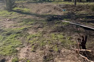 1325 Co Rd 319, Terrell, TX 75161 - Photo 24