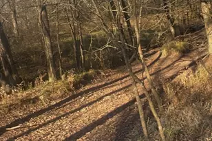 1325 Co Rd 319, Terrell, TX 75161 - Photo 26