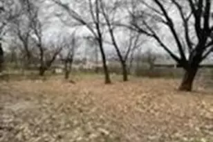 445 Bolero Ave, Dallas, TX 75217 - Photo 10