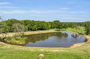 365 Co Rd 1534, Alba, TX 75410 - Photo 6