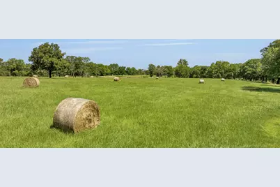 365 County Road 1534, Alba, TX 75410 - Photo 4