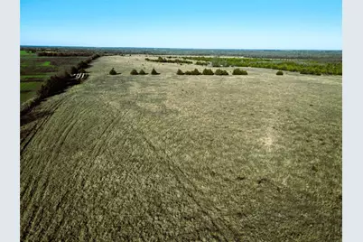 90 Ac County Road 4615, Wolfe City, TX 75496 - Photo 4