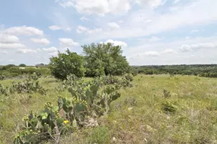 1102 Bluffview Ct, Glen Rose, TX 76043 - Photo 14