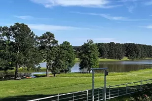 11786 County Rd 4401, LaRue, TX 75770 - Photo 1