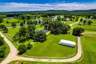 11786 County Rd 4401, LaRue, TX 75770 - Photo 10