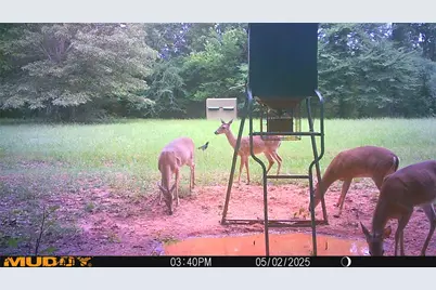 3732 US Highway 84, Palestine, TX 75801 - Photo 38