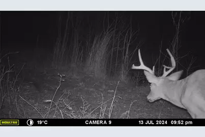 3732 US Highway 84, Palestine, TX 75801 - Photo 40