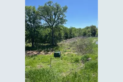 1004 Bermes Court, Brock, TX 76087 - Photo 2