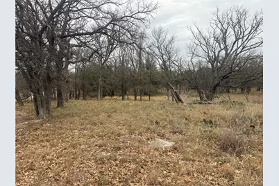 Tbd Tamarack Drive, May, TX 76857 - Photo 8