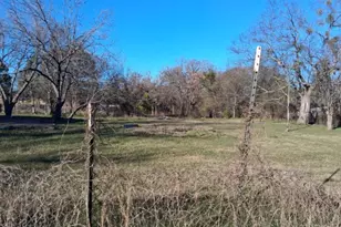 8163 Lady Bird, Kemp, TX 75143 - Photo 4