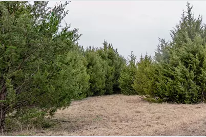 839 Cedar Ridge Court, Farmersville, TX 75442 - Photo 8