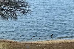 9961 Waterfront Trail, Rowlett, TX 75087 - Photo 26