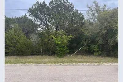 44028 Fringewood Drive, Whitney, TX 76692 - Photo 1