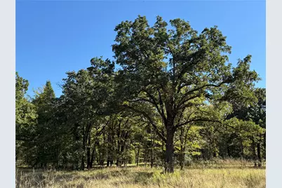 15801 Maple Lane, Malakoff, TX 75148 - Photo 6