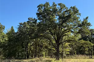 15801 Maple Ln, Malakoff, TX 75148 - Photo 6