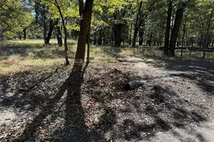 15801 Maple Ln, Malakoff, TX 75148 - Photo 1