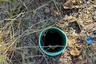 15801 Maple Ln, Malakoff, TX 75148 - Photo 10