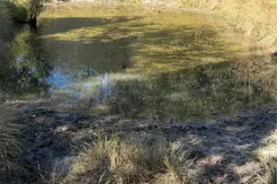 15801 Maple Ln, Malakoff, TX 75148 - Photo 4