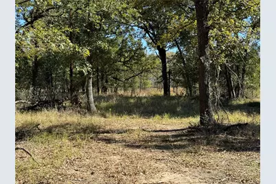 15801 Maple Lane, Malakoff, TX 75148 - Photo 12