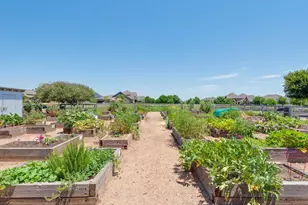 509 Gannet Trl, Argyle, TX 76226 - Photo 30