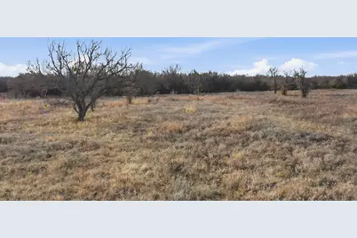 633 N Stallion Meadows Drive, Perrin, TX 76486 - Photo 16