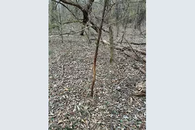 23 County Road 2950, Windom, TX 75306 - Photo 10