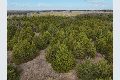 23 County Road 2950, Windom, TX 75306 - Photo 20