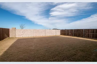 113 Waterhouse Lake Drive, Anna, TX 75409 - Photo 28