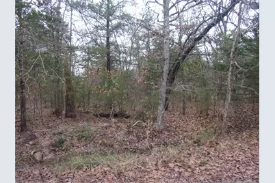 000 Hideaway, Murchison, TX 75778 - Photo 2