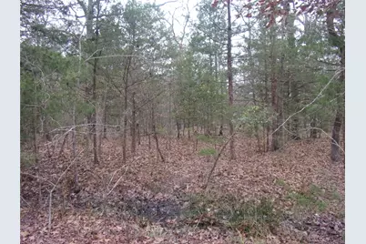 000 Hideaway, Murchison, TX 75778 - Photo 4