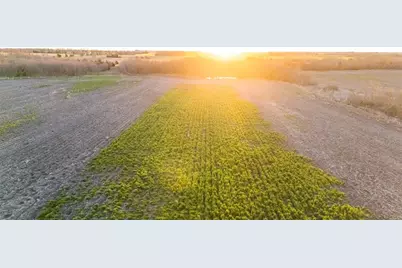 Tbd County Rd 3070, Ben Franklin, TX 75415 - Photo 4