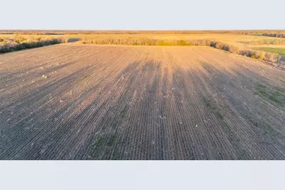 Tbd County Rd 3070, Ben Franklin, TX 75415 - Photo 6