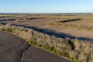 Tbd County Rd 3240, Ben Franklin, TX 75415 - Photo 1