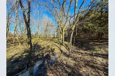 Tbd County Rd 3240, Ben Franklin, TX 75415 - Photo 8