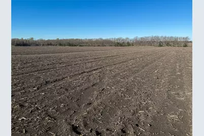 Tbd County Road 3060, Ben Franklin, TX 75415 - Photo 8