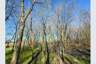 Tbd County Road 3060, Ben Franklin, TX 75415 - Photo 12