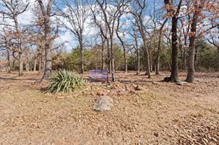 2516 Brushy Nob Dr, Joshua, TX 76058 - Photo 26