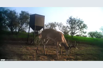 2267 County Road 414, Brady, TX 76825 - Photo 2