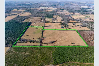 255 Cr 4645, Winnsboro, TX 75494 - Photo 6