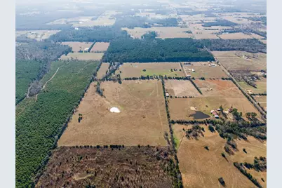 255 Cr 4645, Winnsboro, TX 75494 - Photo 4