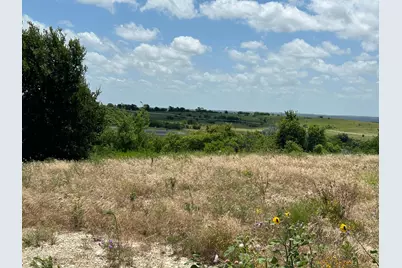 2517 Tom Chaney Drive #103, Cresson, TX 76035 - Photo 4