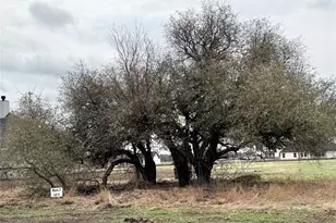 2008 Collin St, Weatherford, TX 76085 - Photo 24