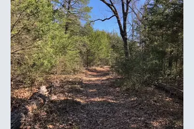 128 Lincoln Drive, Streetman, TX 75859 - Photo 6