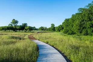 1216 White Dove Dr, Little Elm, TX 75068 - Photo 38