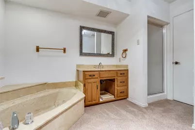 331 Swan Ridge Drive, Duncanville, TX 75137 - Photo 20