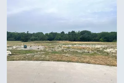 331 Broadwing Drive, Fairview, TX 75069 - Photo 6